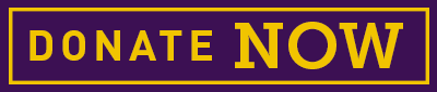 Donate Now Button