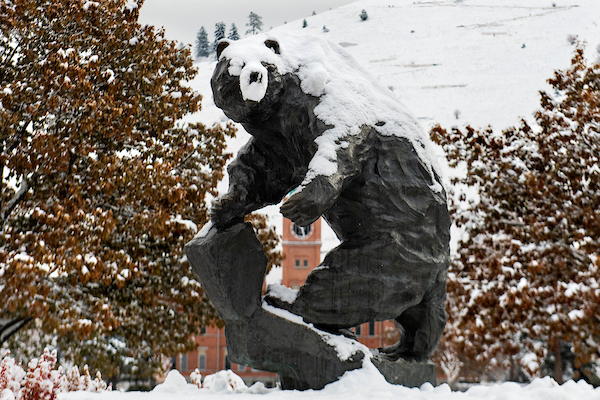 Photo snowy Griz  Statue